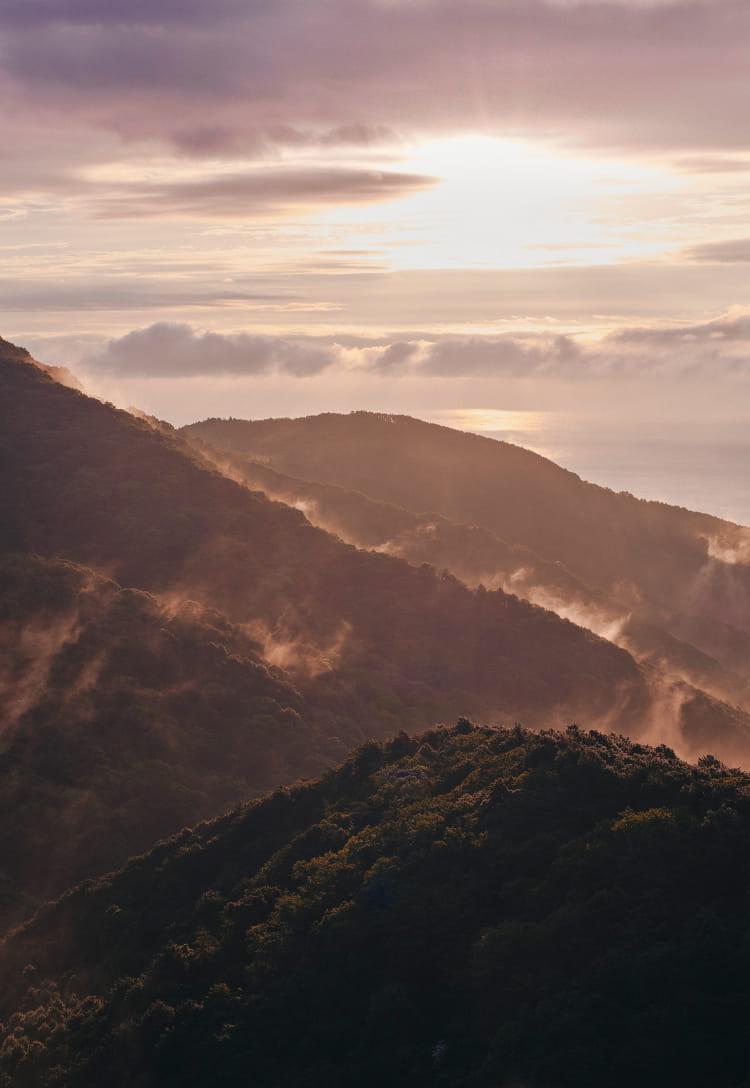 靄に包まれた山が、陽の光に照らされる